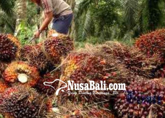Nusabali.com - kenaikan-ekspor-sawit-diprediksi-berlanjut