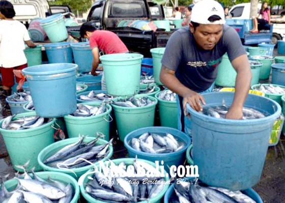 Nusabali.com - budidaya-ikan-terhambat-kebiasaan-nelayan