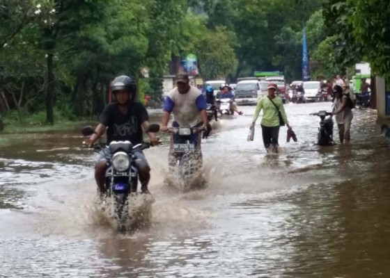 Nusabali.com - pemuteran-langganan-banjir