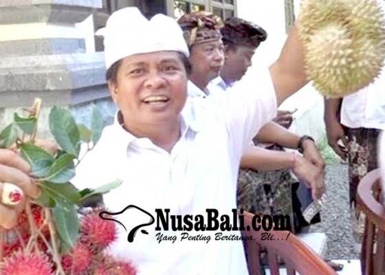 Nusabali.com - sudikerta-turun-temui-petani-di-jembrana