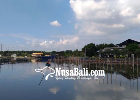 Nusabali.com - 35-hektare-dam-estuari-ditata-ulang