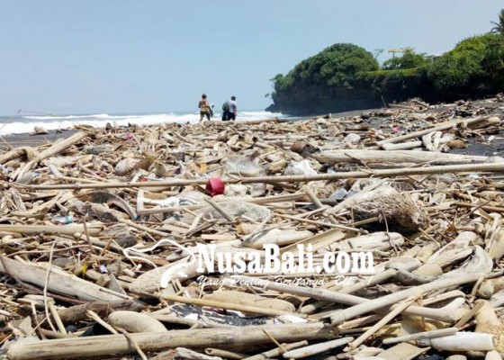 Nusabali.com - sampah-kayu-penuhi-pantai-nyanyi