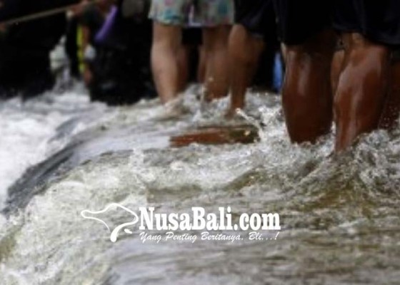 Nusabali.com - puluhan-hektar-lahan-terendam-air