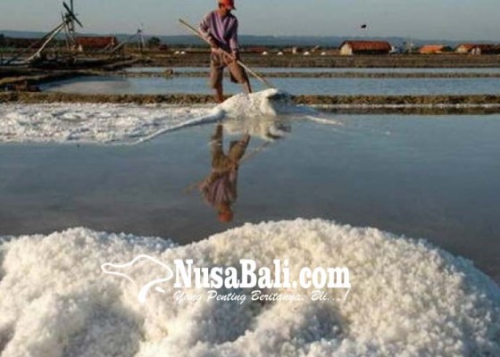 Nusabali.com - lindungi-harga-garam-domestik