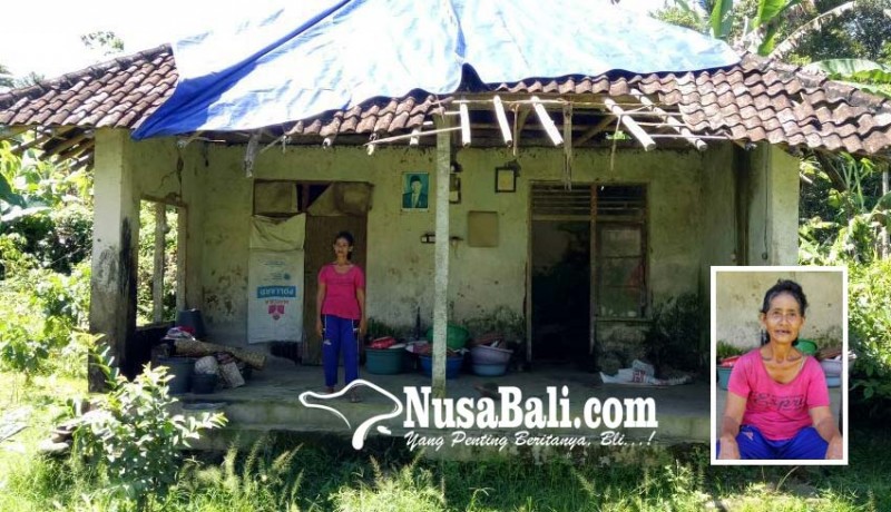 www.nusabali.com-air-dan-listrik-dibantu-tetangga-kerja-serabutan-untuk-hidup