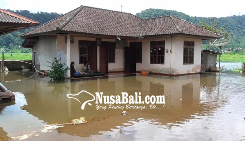 www.nusabali.com-rumahnya-tenggelam-dua-kk-di-banjar-dasong-terpaksa-ngungsi