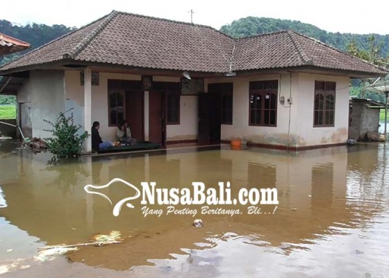 Nusabali.com - rumahnya-tenggelam-dua-kk-di-banjar-dasong-terpaksa-ngungsi