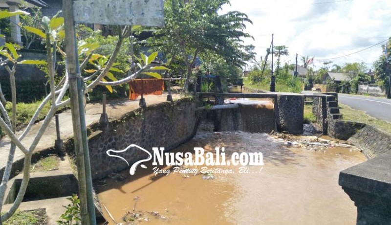 www.nusabali.com-sungai-keruh-peternak-kesulitan-air