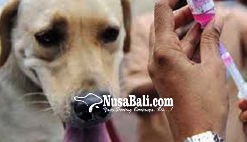 www.nusabali.com-buleleng-siap-vaksinasi-95000-anjing