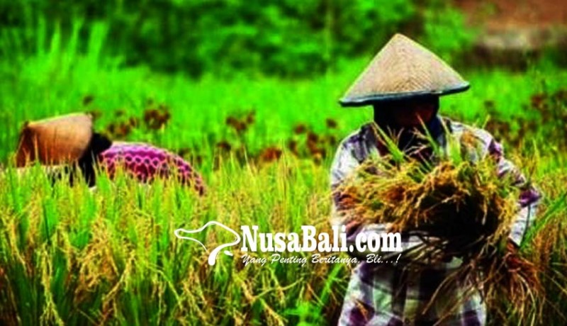 www.nusabali.com-realisasikan-program-cas-pemkab-teken-mou-dengan-petani