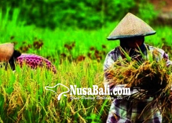 Nusabali.com - realisasikan-program-cas-pemkab-teken-mou-dengan-petani