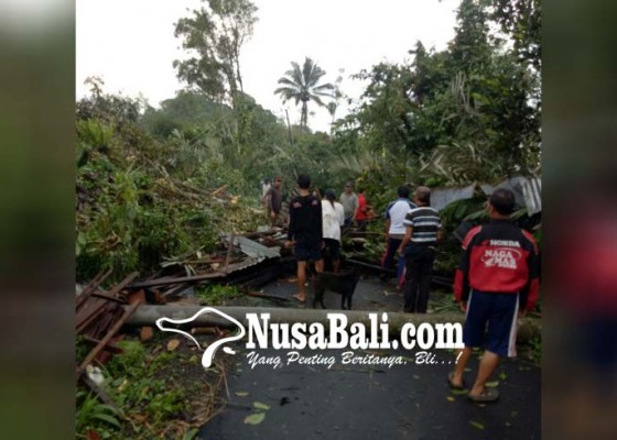 Nusabali.com - puting-beliung-di-pupuan-3-rumah-rusak-1-terluka