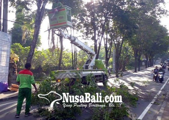Nusabali.com - pohon-perindang-dirompes-total