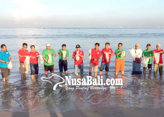 Nusabali.com - koral-aup-stp-tebar-ribuan-benih-ikan-nener-dan-kerang-abalone