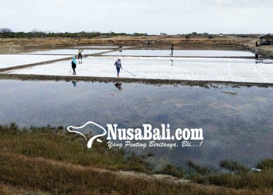 Nusabali.com - ada-pemegang-hak-belum-berinvestasi