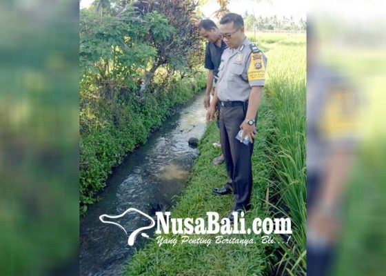 Nusabali.com - anggota-veteran-ditemukan-tewas-di-parit