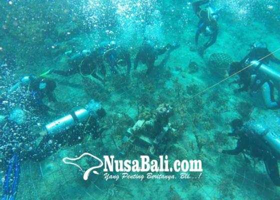 Nusabali.com - terumbu-karang-di-nusa-penida-direhabilitasi