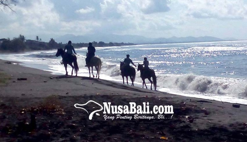 www.nusabali.com-wisata-berkuda