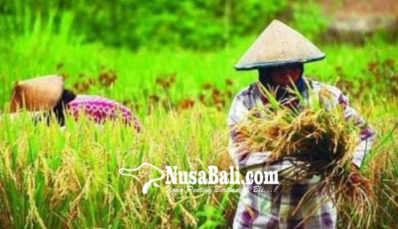 www.nusabali.com-60-persen-petani-di-denpasar-dapatkan-kartu-tani