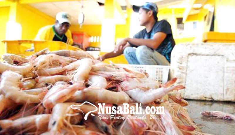 www.nusabali.com-ekspor-ikan-dari-bali-naik-3477