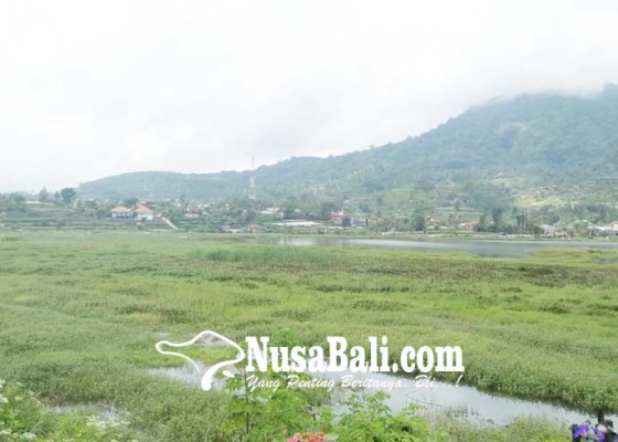 Nusabali.com - petani-dapat-bantuan-bibit-stroberi
