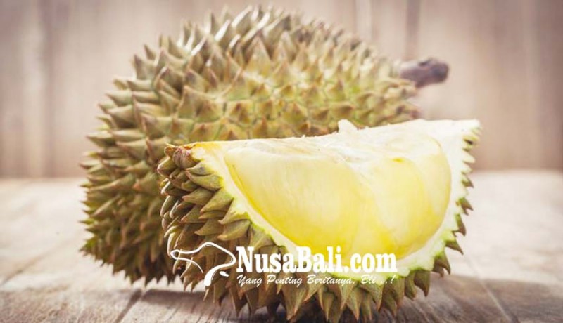 www.nusabali.com-dilelang-durian-di-thailand-laku-rp-66-juta