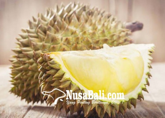 Nusabali.com - dilelang-durian-di-thailand-laku-rp-66-juta