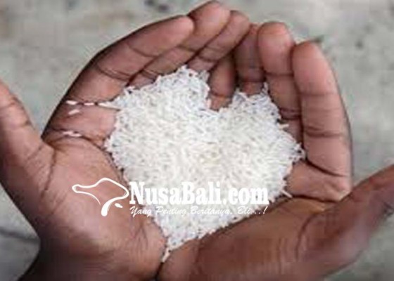 Nusabali.com - seharusnya-indonesia-ekspor-beras