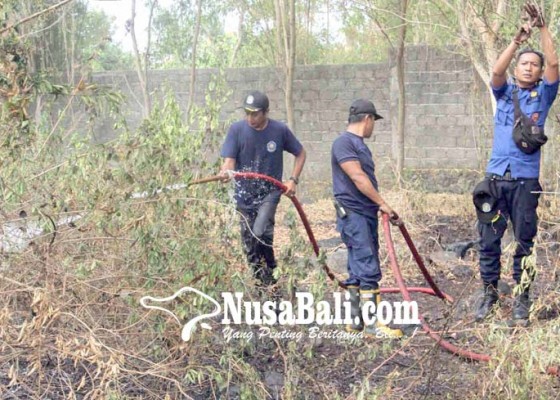 Nusabali.com - petugas-damkar-padamkan-api-di-semak-semak