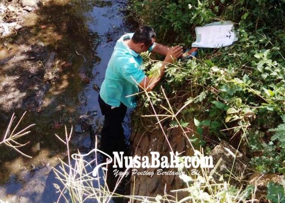 Nusabali.com - ratusan-hektare-lahan-terancam-tidak-produktif