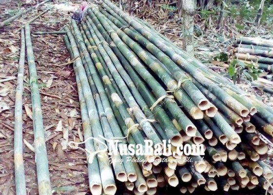 Nusabali.com - bambu-tak-tergerus-zaman