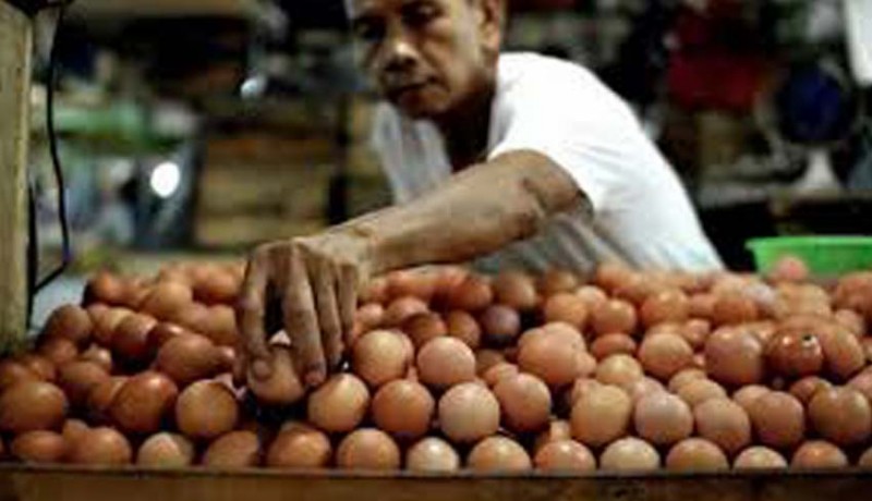www.nusabali.com-cuaca-dan-harga-pakan-pemicu-harga-telur-naik