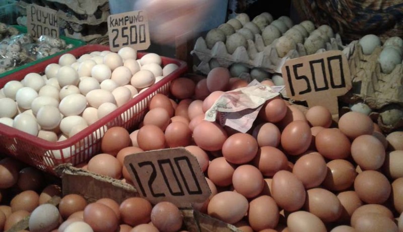 www.nusabali.com-buleleng-genjot-produksi-telur