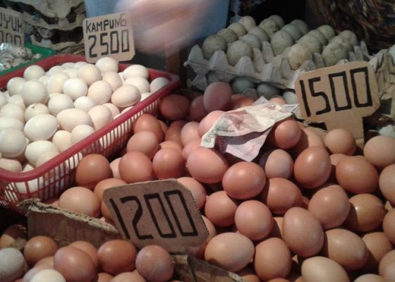 Nusabali.com - buleleng-genjot-produksi-telur