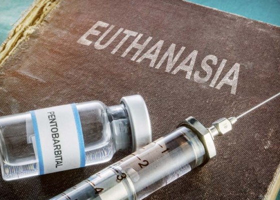 Nusabali.com - tiga-anak-ajukan-euthanasia