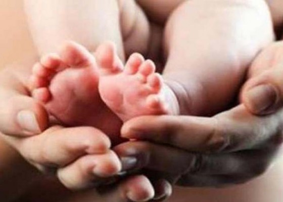 Nusabali.com - angka-kematian-ibu-melahirkan-turun