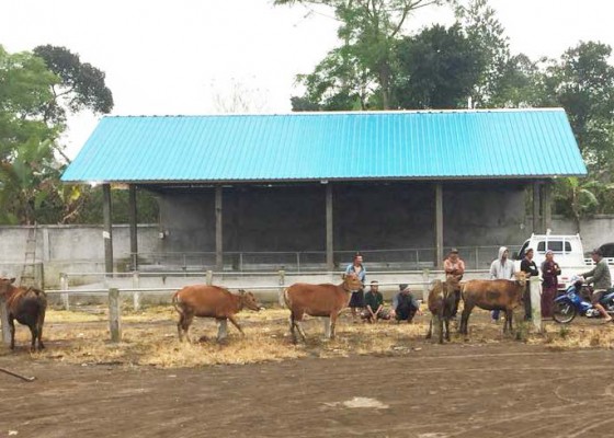 Nusabali.com - desa-sekaan-bangun-pasar-hewan