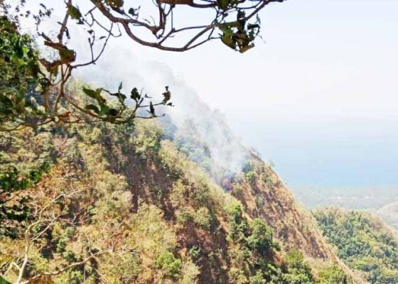 Nusabali.com - hutan-desa-kutuh-terbakar