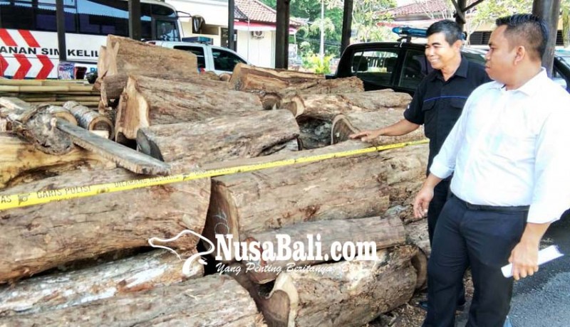 www.nusabali.com-selundupkan-kayu-hutan-sopir-truk-diamankan
