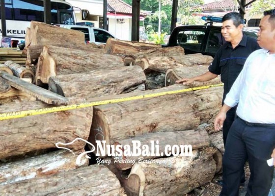 Nusabali.com - selundupkan-kayu-hutan-sopir-truk-diamankan
