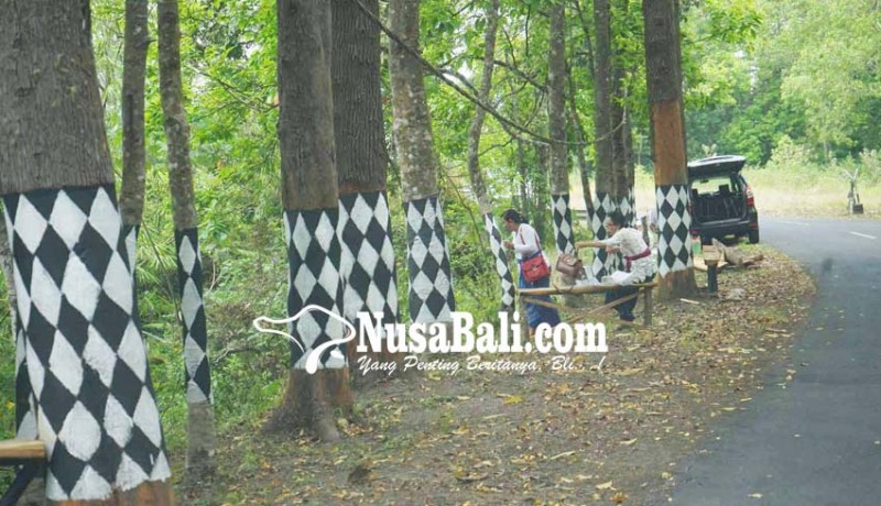 www.nusabali.com-desa-sebudi-bangun-objek-wisata-jelajah-hutan