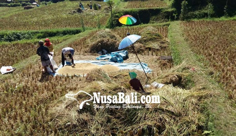www.nusabali.com-dewan-ngotot-anggaran-sektor-pertanian-ditambah