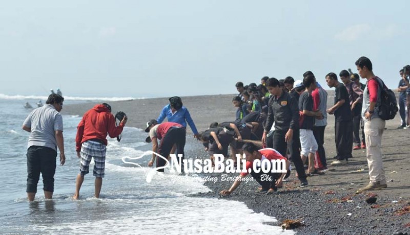 www.nusabali.com-kirab-pemuda-gelar-kebersihan-di-pantai