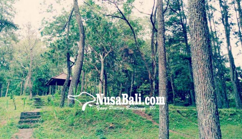 www.nusabali.com-desa-nawa-kerti-rancang-wisata-hutan