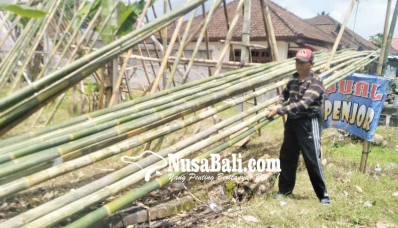 www.nusabali.com-penjual-bambu-dan-penjor-mulai-ramai