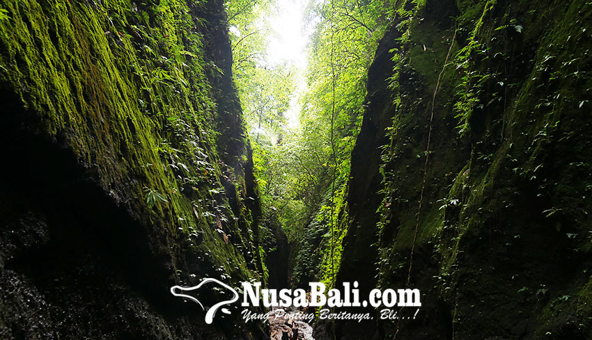 www.nusabali.com-penemuan-5-sumber-mata-air-suci-di-aan-secret-waterfall