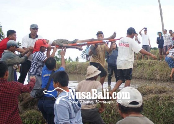 Nusabali.com - selamat-setelah-jatuh-ke-jurang-12-meter
