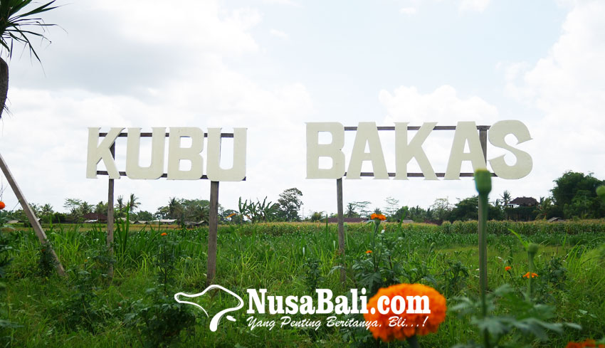 www.nusabali.com-berkunjung-ke-kubu-bakas-klungkung-rekreasi-keluarga-sambil-kulineran