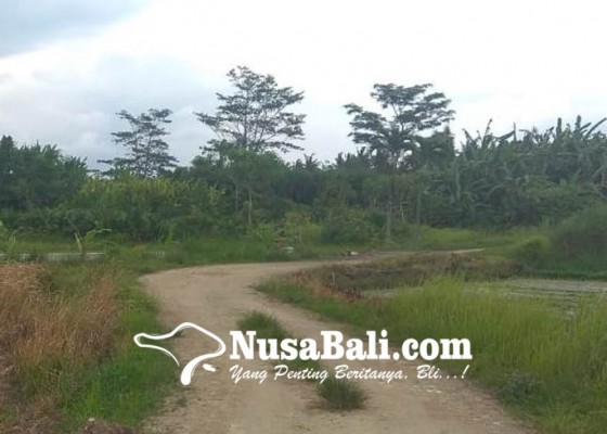 Nusabali.com - pembangunan-taman-bung-karno-dicicil