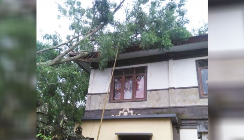 www.nusabali.com-atap-kantor-perbekel-belok-sidan-tertimpa-pohon-tumbang
